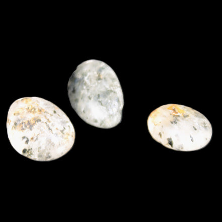 Biotite in Quartz 3 polished crystals 11-12g Rocks and Things