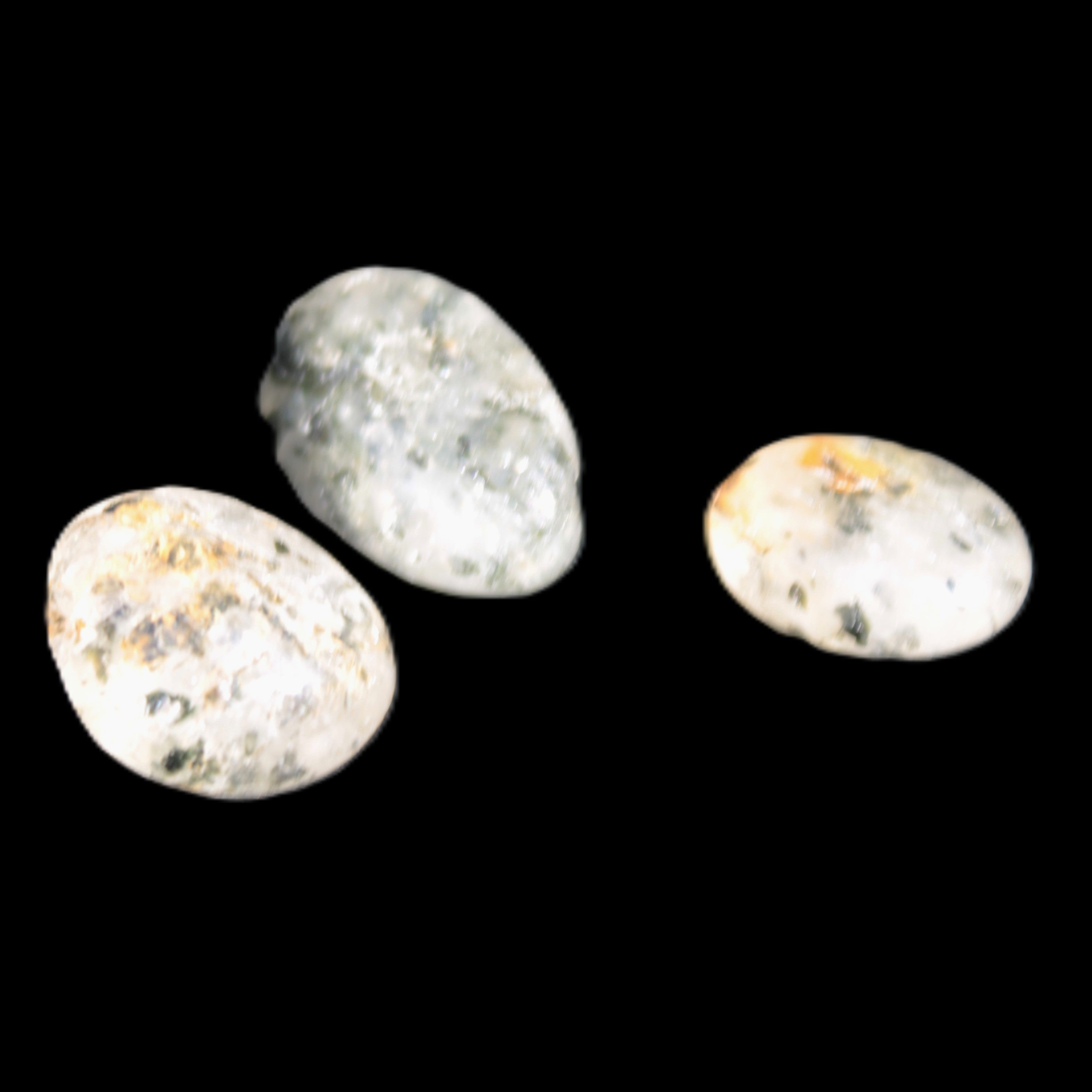 Biotite in Quartz 3 polished crystals 11-12g Rocks and Things