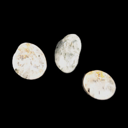 Biotite in Quartz 3 polished crystals 11-12g Rocks and Things