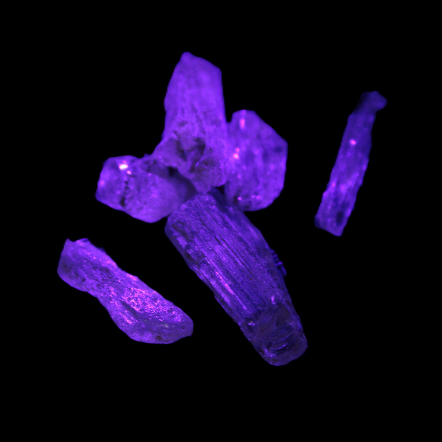 Golden Scapolite from Tanzania 6-9 crystals 5-7g Rocks and Things