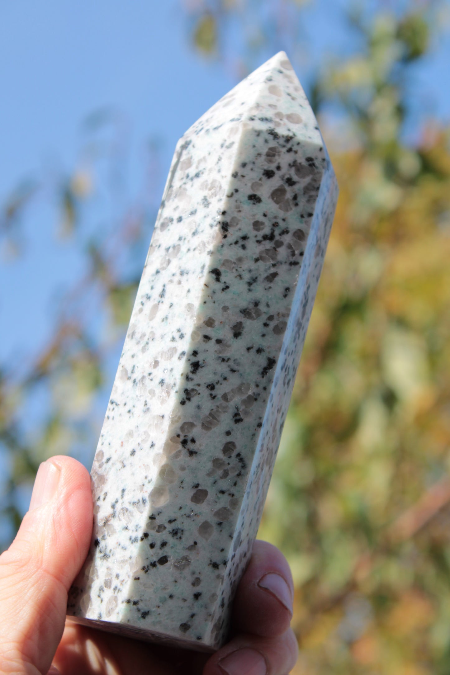 Tianshan Blue Stone obelisk 603g Rocks and Things