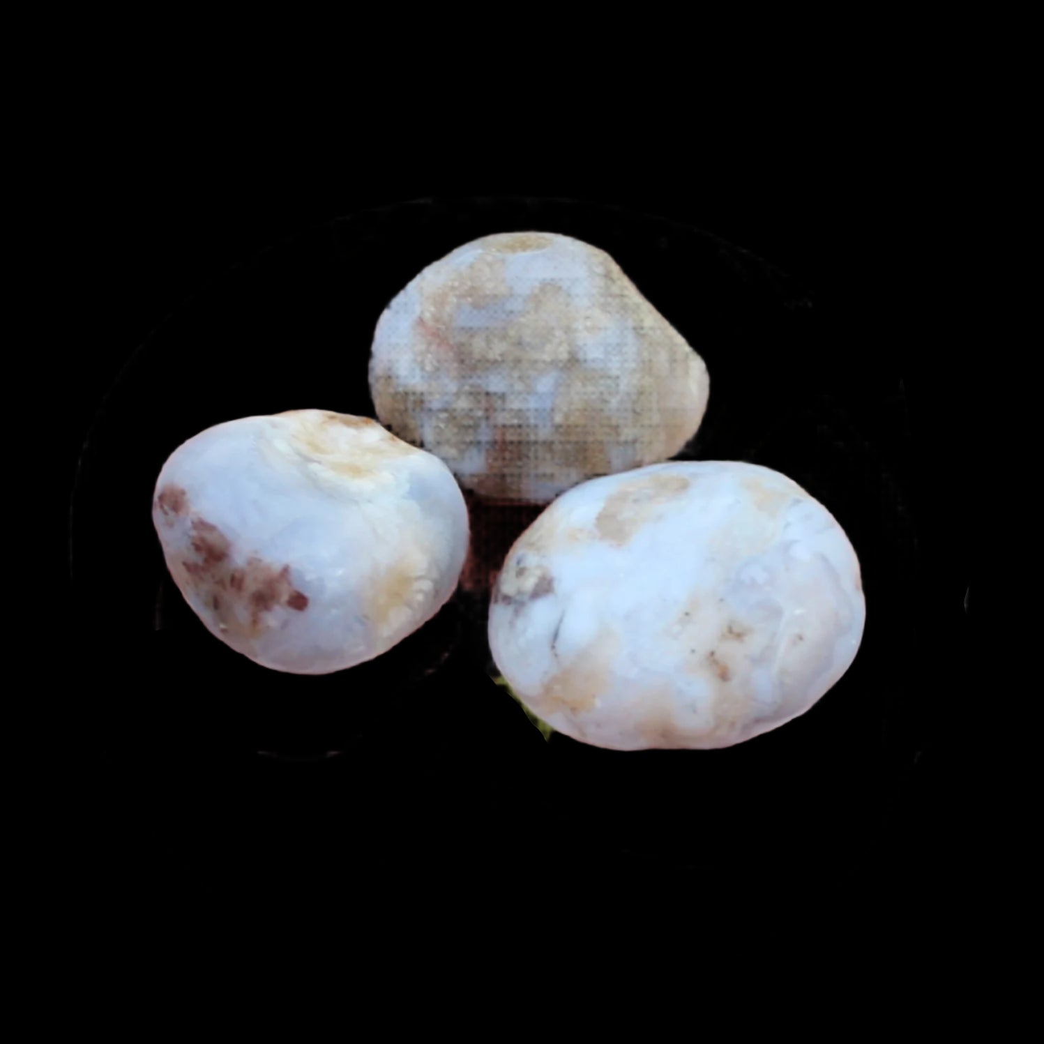Blue Sakura Agate 3 stones 7-8g Rocks and Things