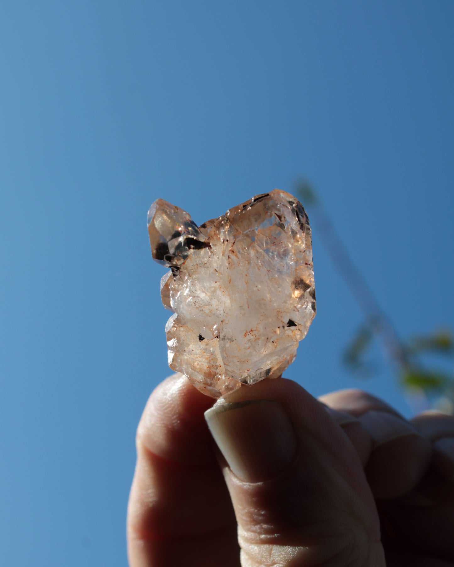 Fenster skeletal Enhydro 1/2 crystals with oil 18-20g Rocks and Things