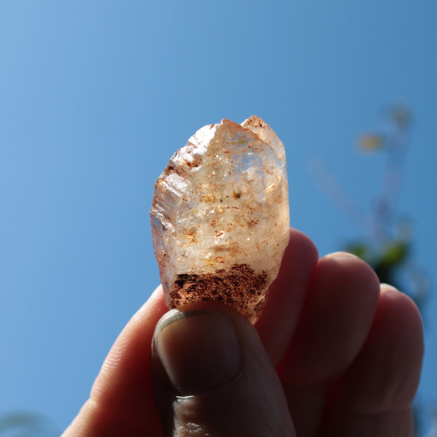 Fenster skeletal Enhydro 1/2 crystals with oil 18-20g Rocks and Things