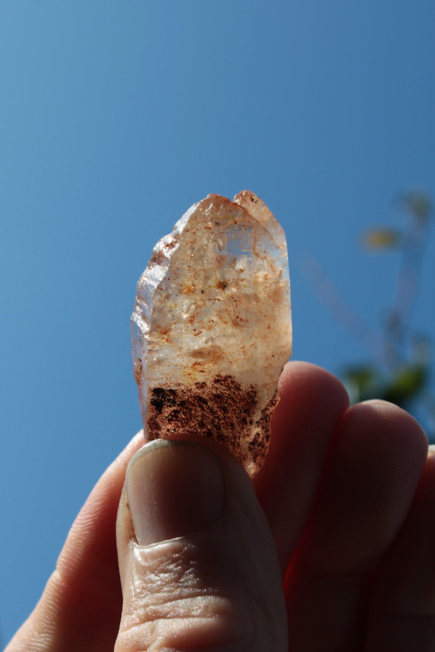 Fenster skeletal Enhydro 1/2 crystals with oil 18-20g Rocks and Things