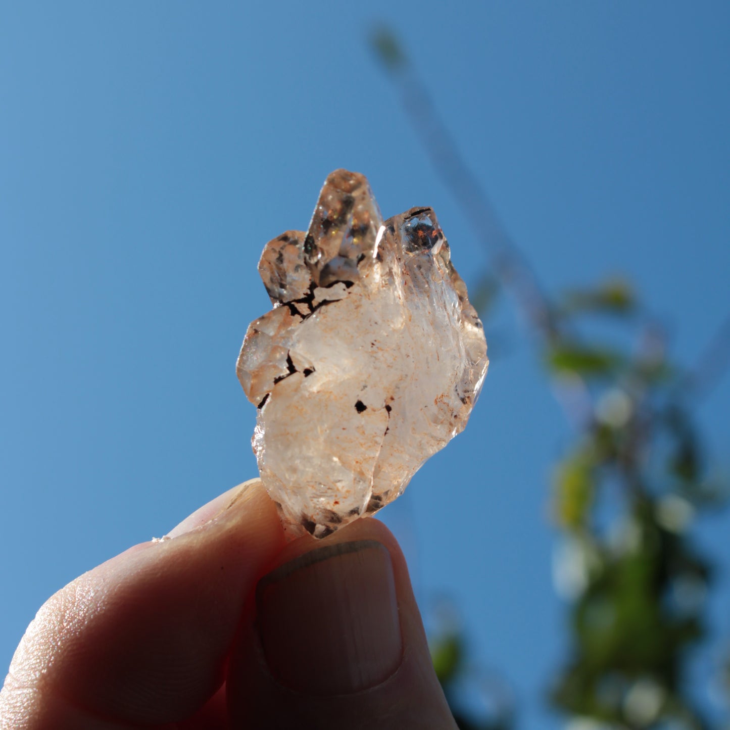 Fenster skeletal Enhydro 1/2 crystals with oil 18-20g Rocks and Things