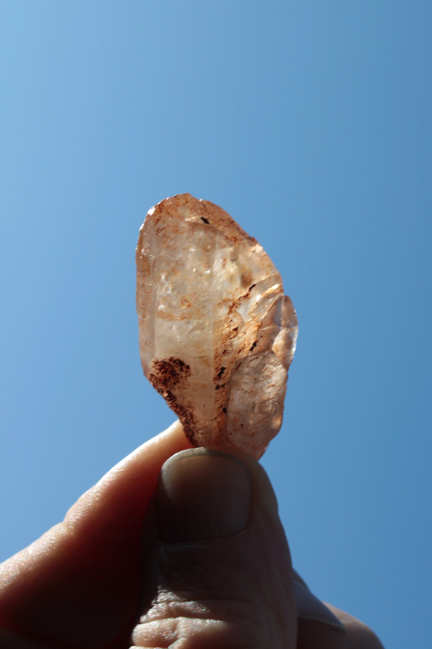 Fenster skeletal Enhydro 1/2 crystals with oil 18-20g Rocks and Things