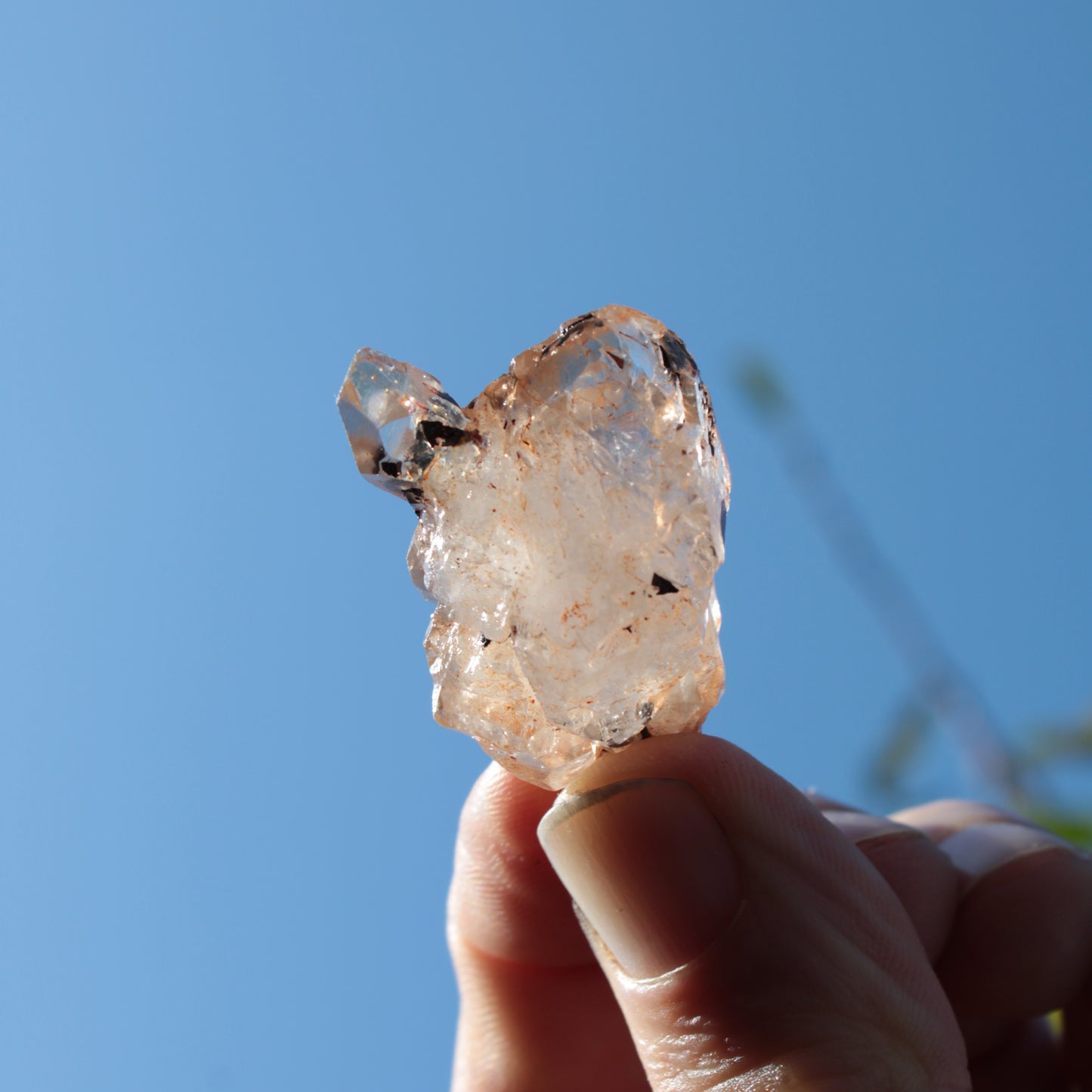 Fenster skeletal Enhydro 1/2 crystals with oil 18-20g Rocks and Things