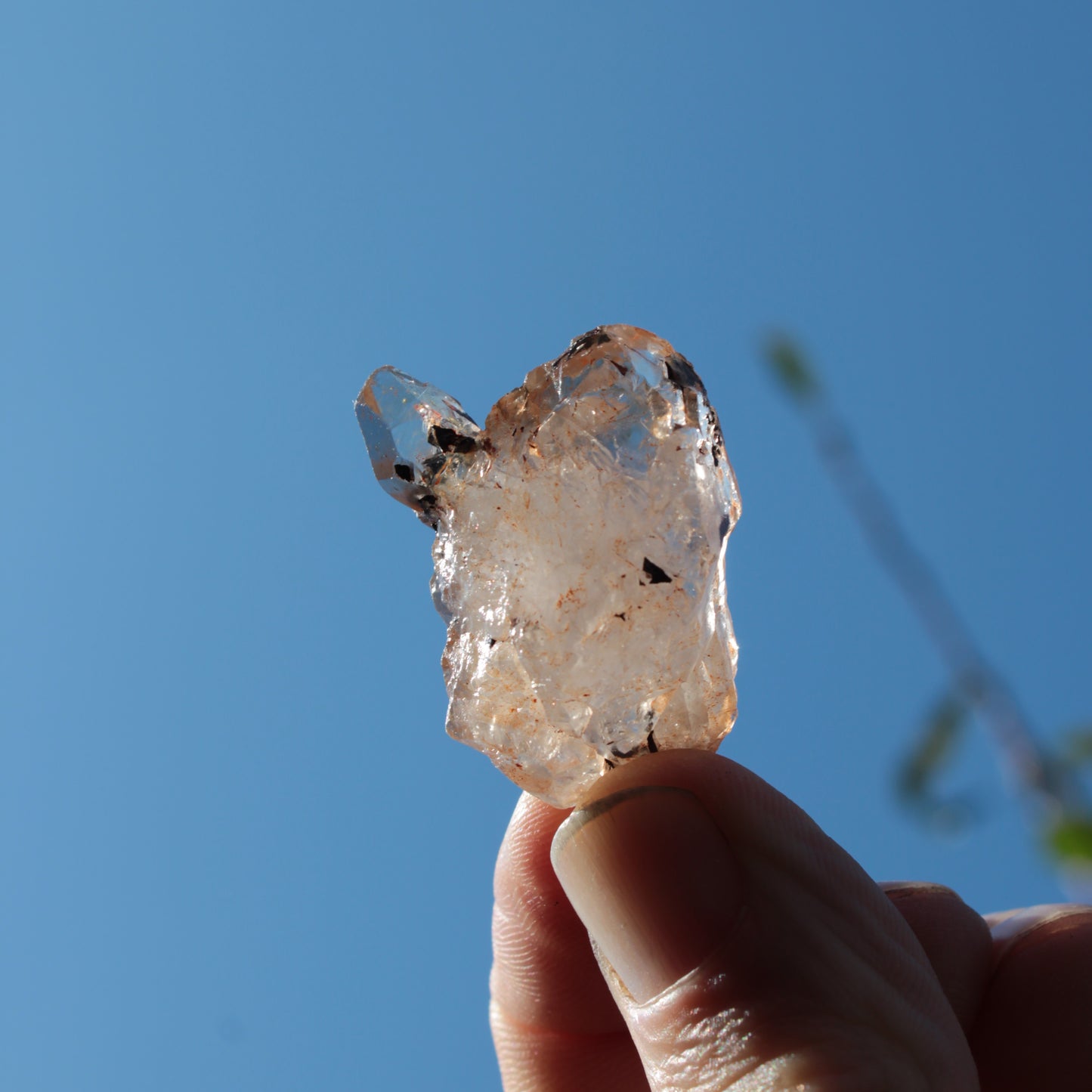 Fenster skeletal Enhydro 1/2 crystals with oil 18-20g Rocks and Things