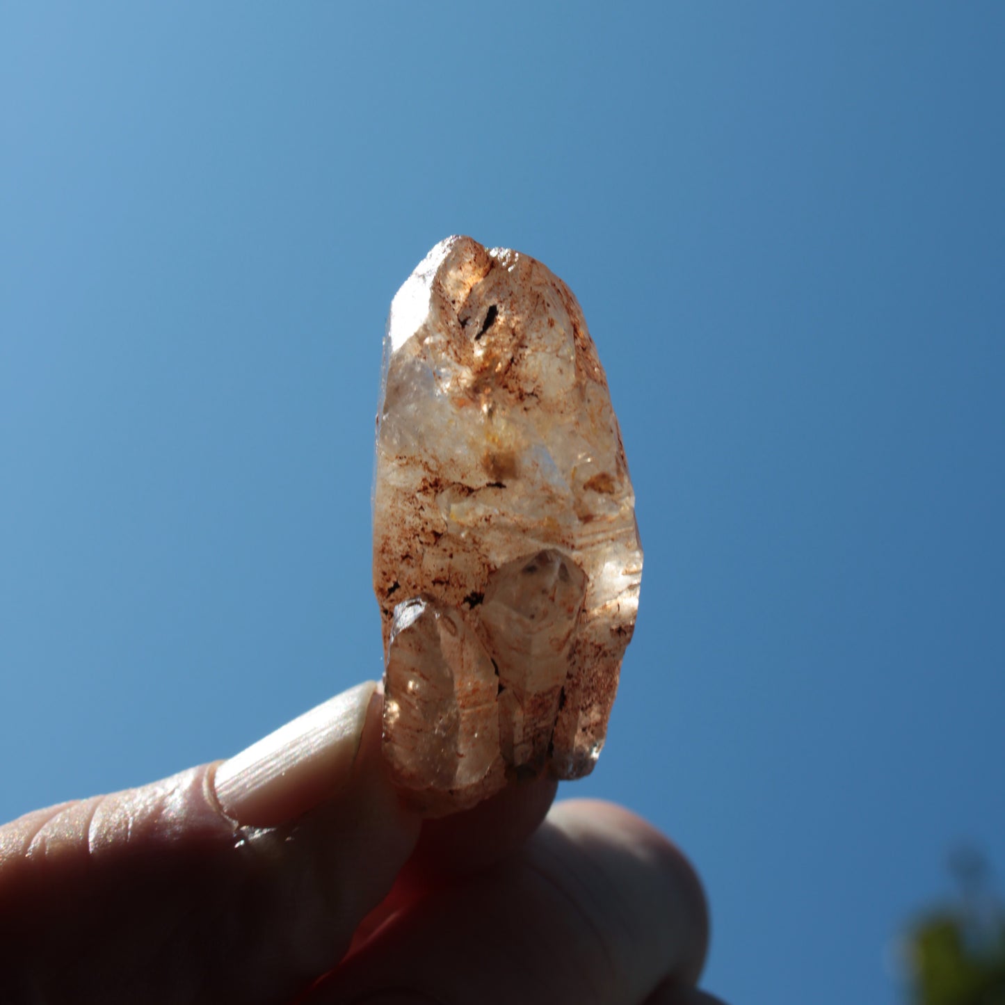 Fenster skeletal Enhydro 1/2 crystals with oil 18-20g Rocks and Things