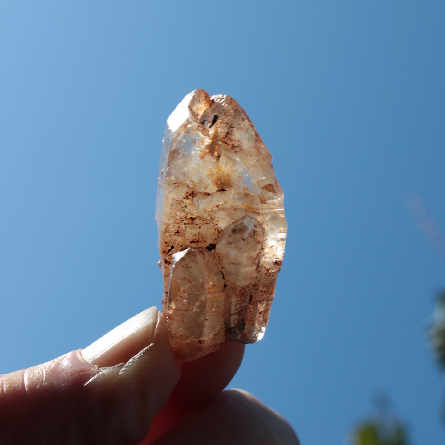 Fenster skeletal Enhydro 1/2 crystals with oil 18-20g Rocks and Things