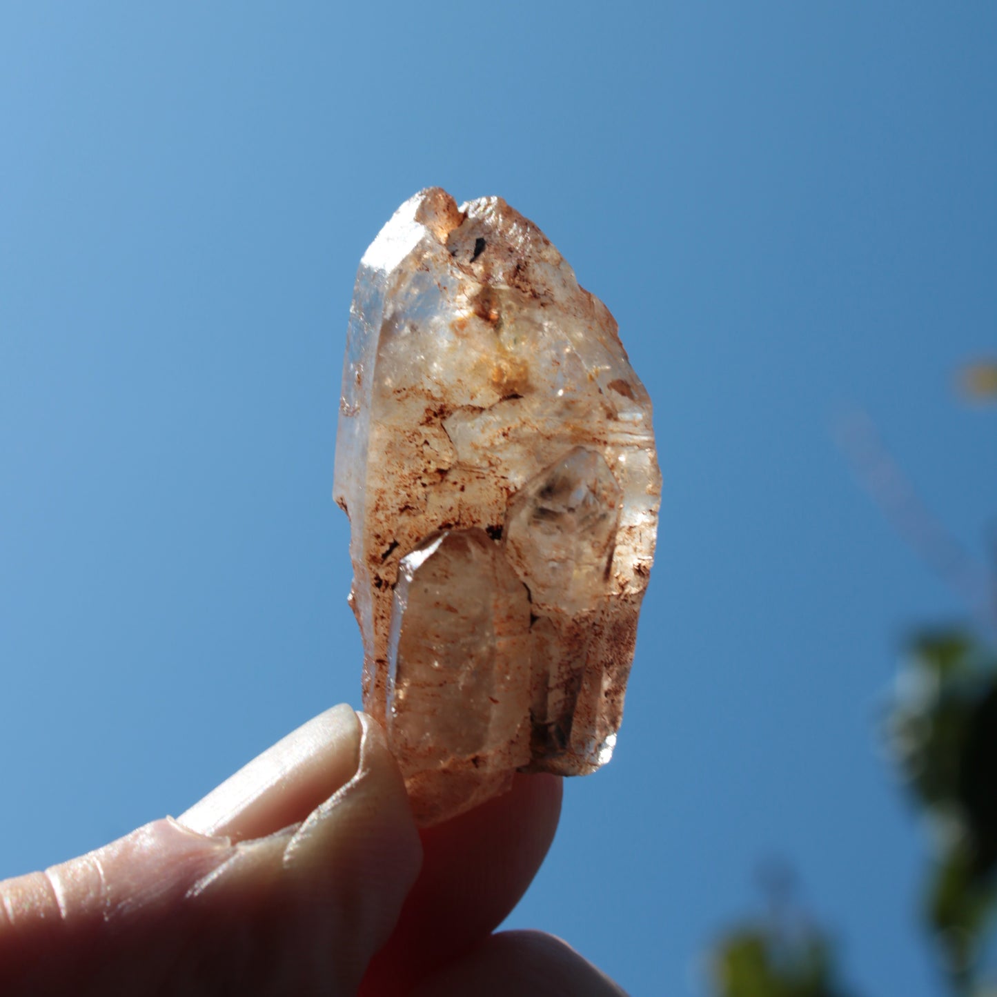 Fenster skeletal Enhydro 1/2 crystals with oil 18-20g Rocks and Things