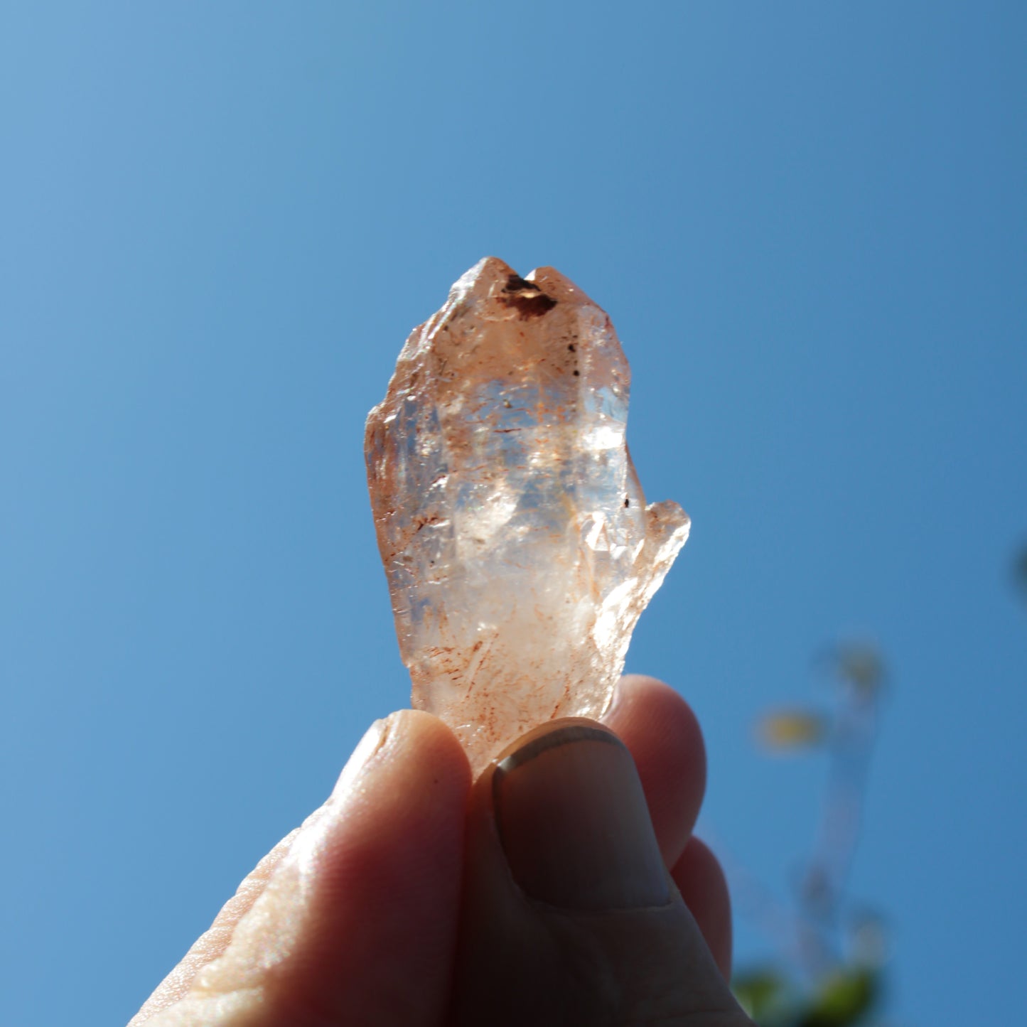 Fenster skeletal Enhydro 1/2 crystals with oil 18-20g Rocks and Things