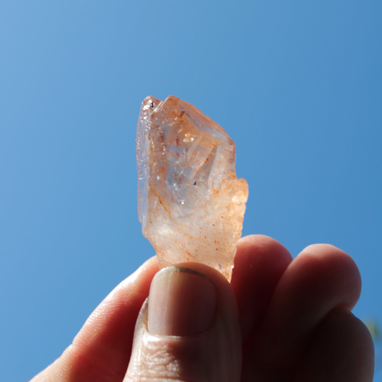 Fenster skeletal Enhydro 1/2 crystals with oil 18-20g Rocks and Things