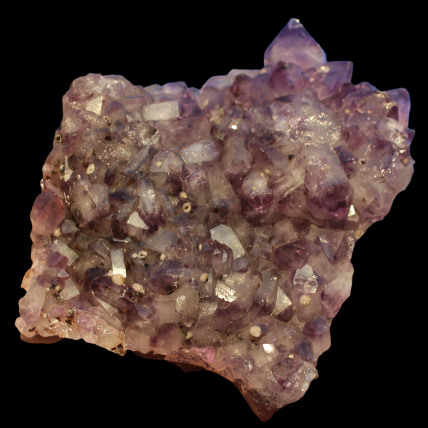 Amethyst geode cluster 517g -Rocks and Things Store
