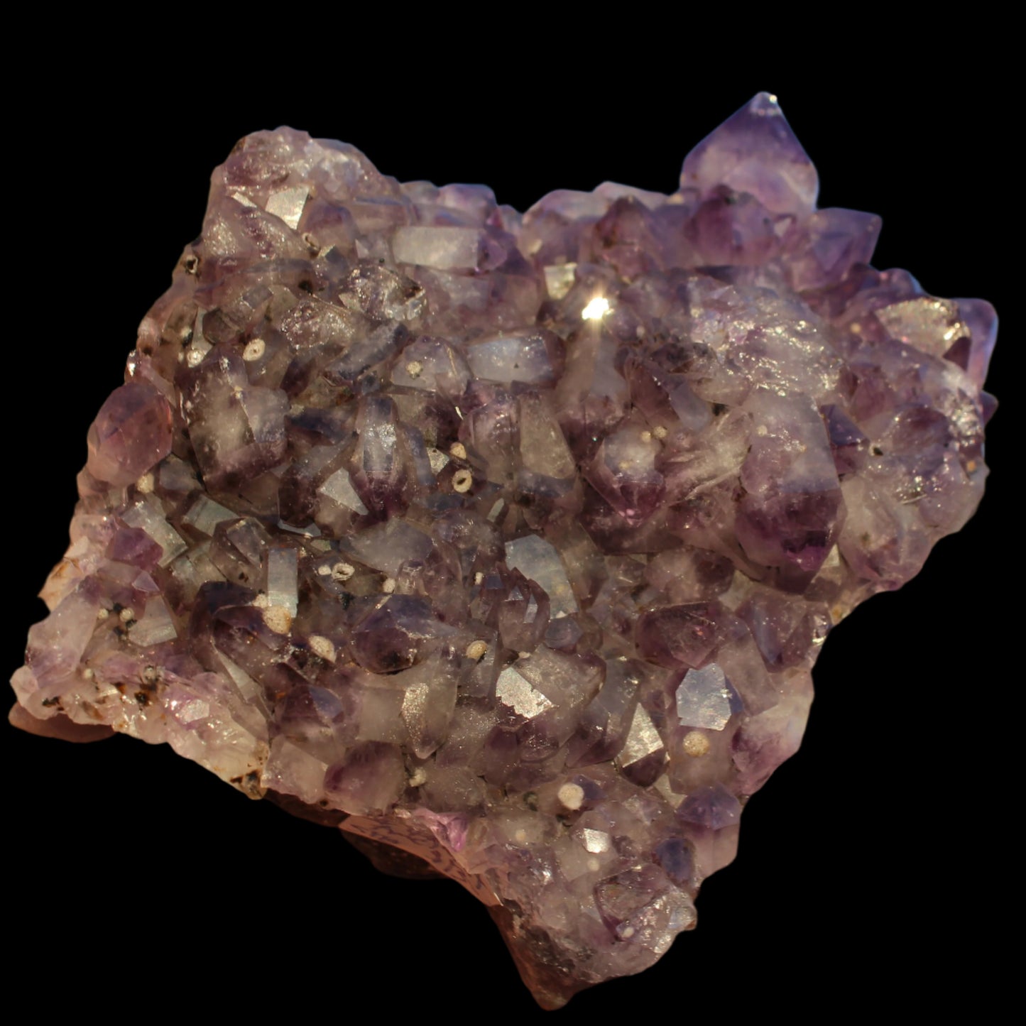 Amethyst geode cluster 517g -Rocks and Things Store