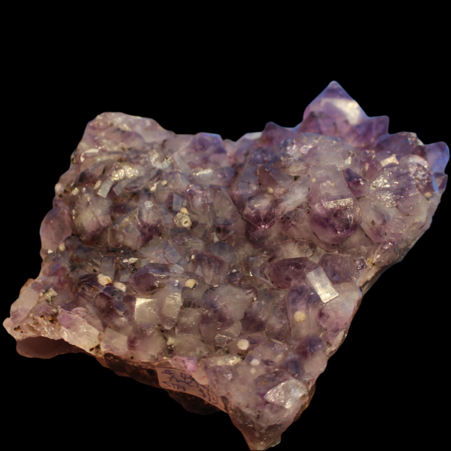 Amethyst geode cluster 517g -Rocks and Things Store