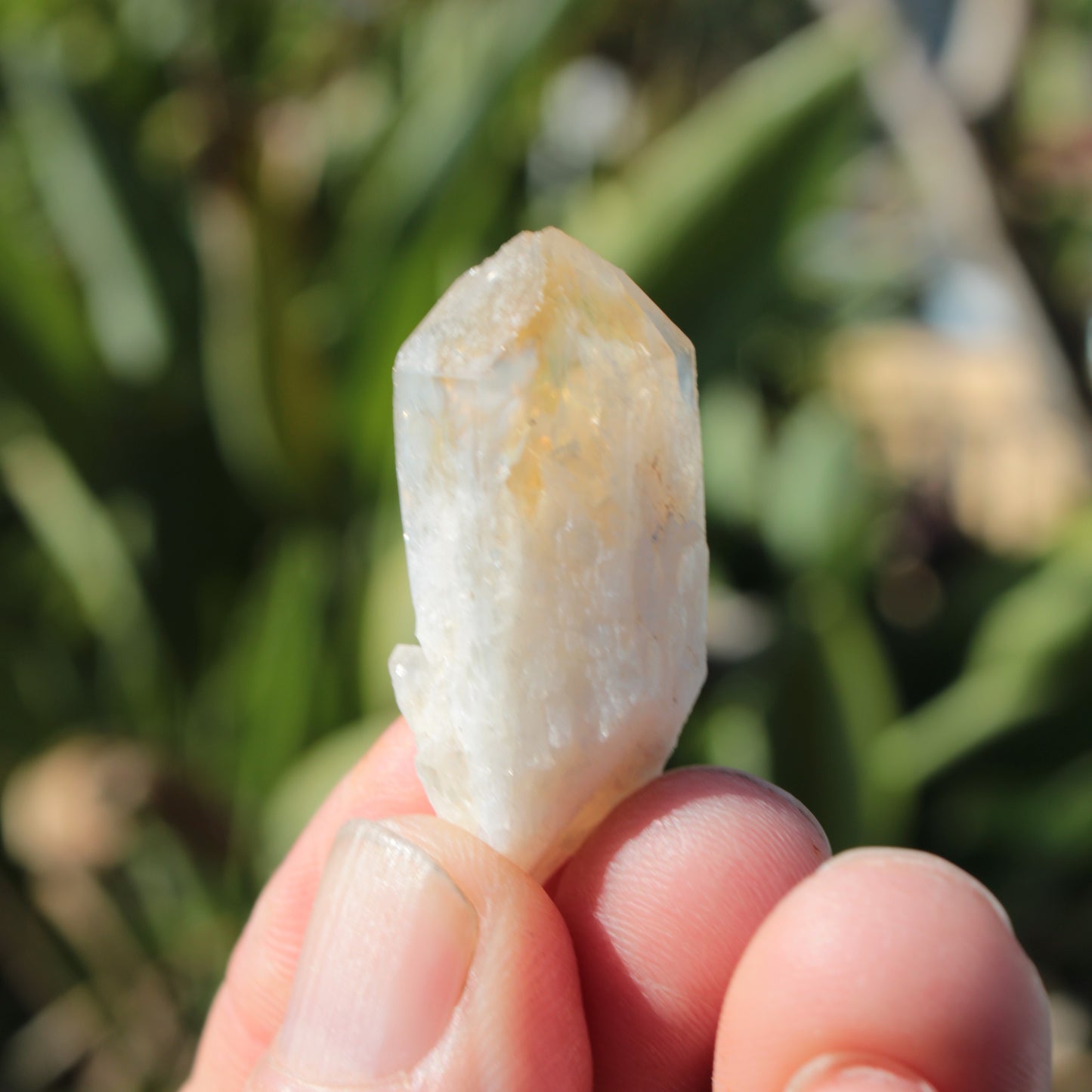 Citrine crystal from the Himalaya 10-12g Rocks and Things