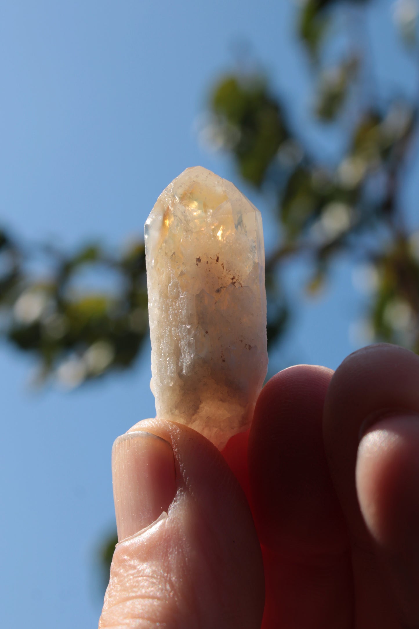 Citrine crystal from the Himalaya 10-12g Rocks and Things