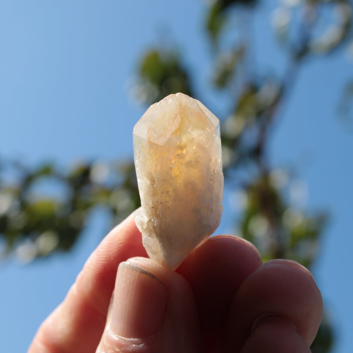 Citrine crystal from the Himalaya 10-12g Rocks and Things