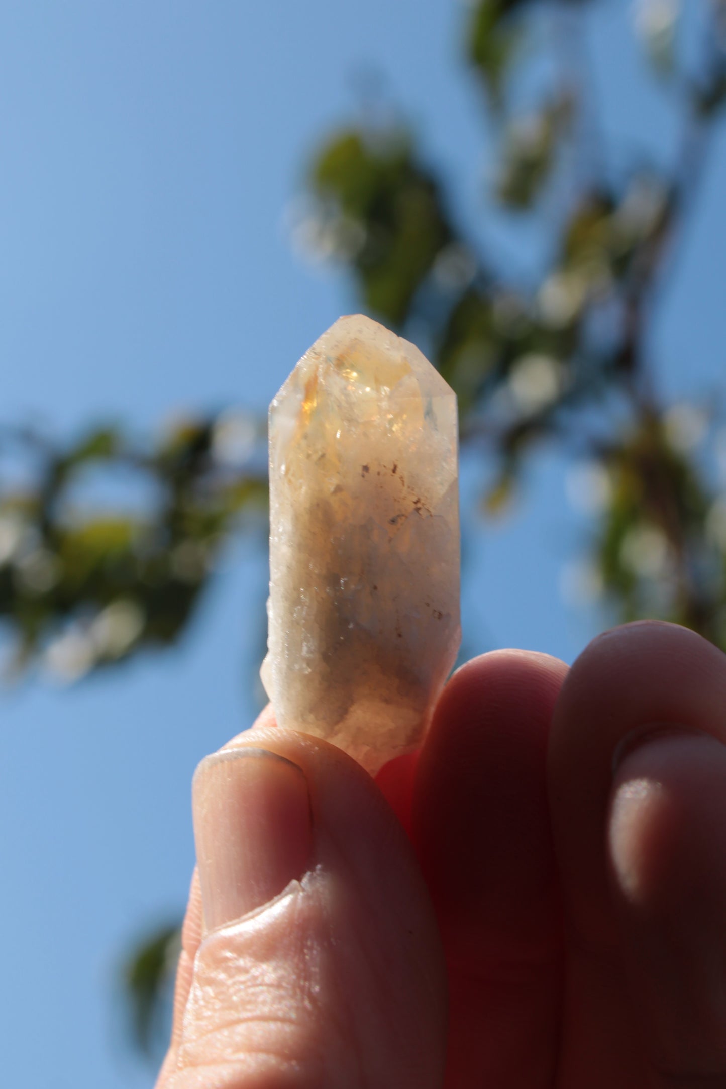 Citrine crystal from the Himalaya 10-12g Rocks and Things