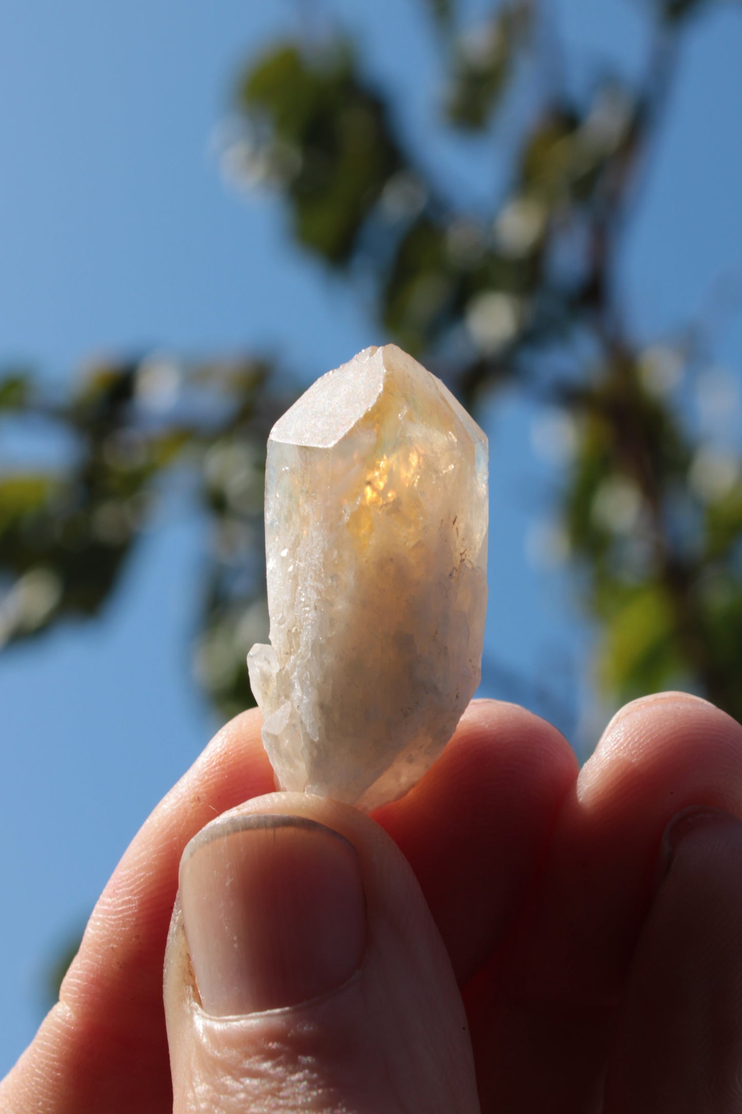 Citrine crystal from the Himalaya 10-12g Rocks and Things
