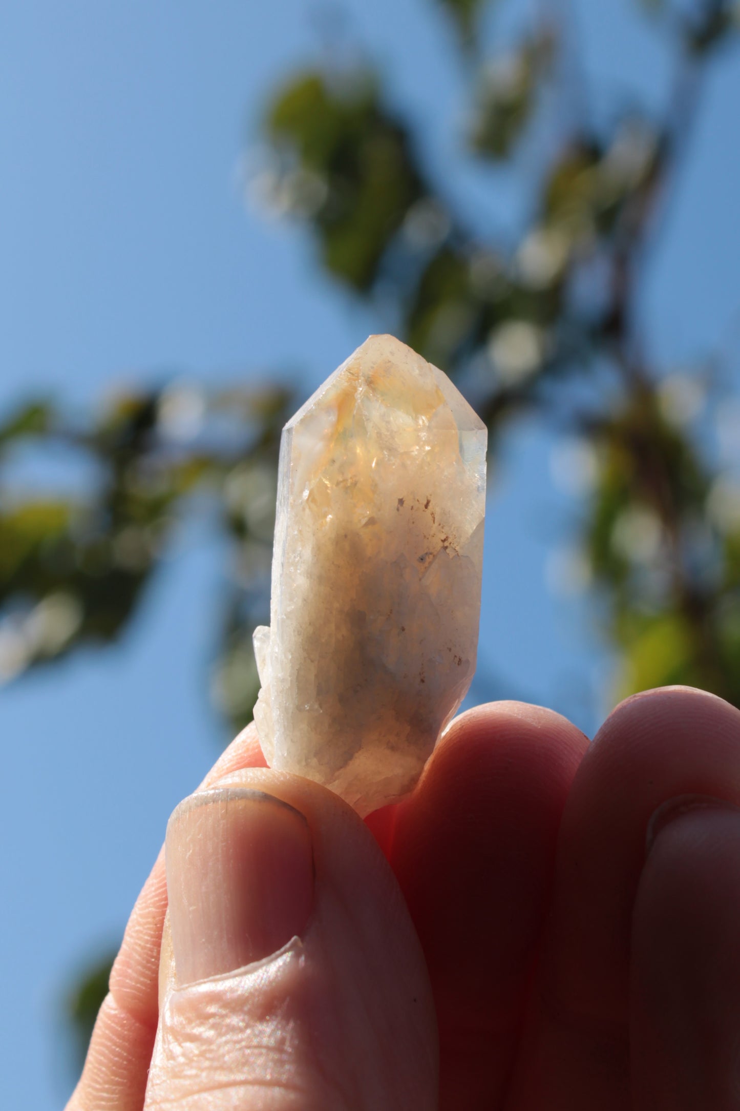 Citrine crystal from the Himalaya 10-12g Rocks and Things