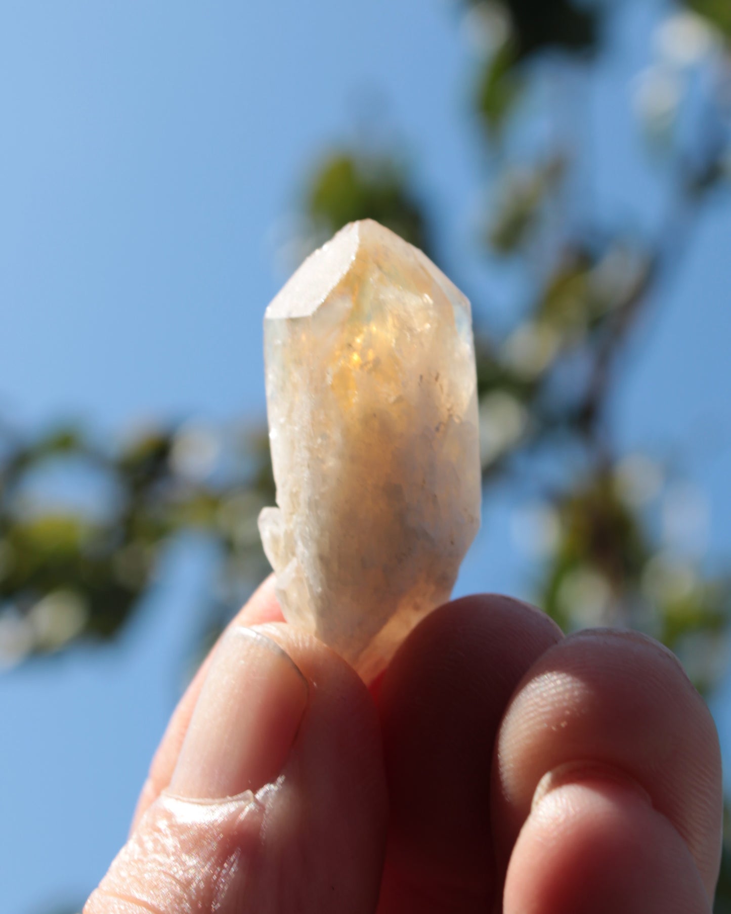 Citrine crystal from the Himalaya 10-12g Rocks and Things