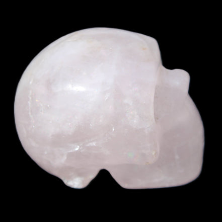 Rose Quartz hand-carved skull 51g in sunlight - Rocks and Things Store