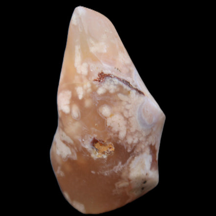 Snowflake Cherry Blossom Agate flame from Madagascar 63g in sunlight - Rocks and Things Store