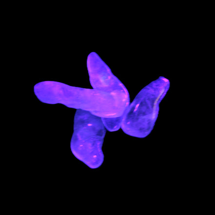 Aquamarine 4 polished crystals 4g in UV light - Rocks and Things Store