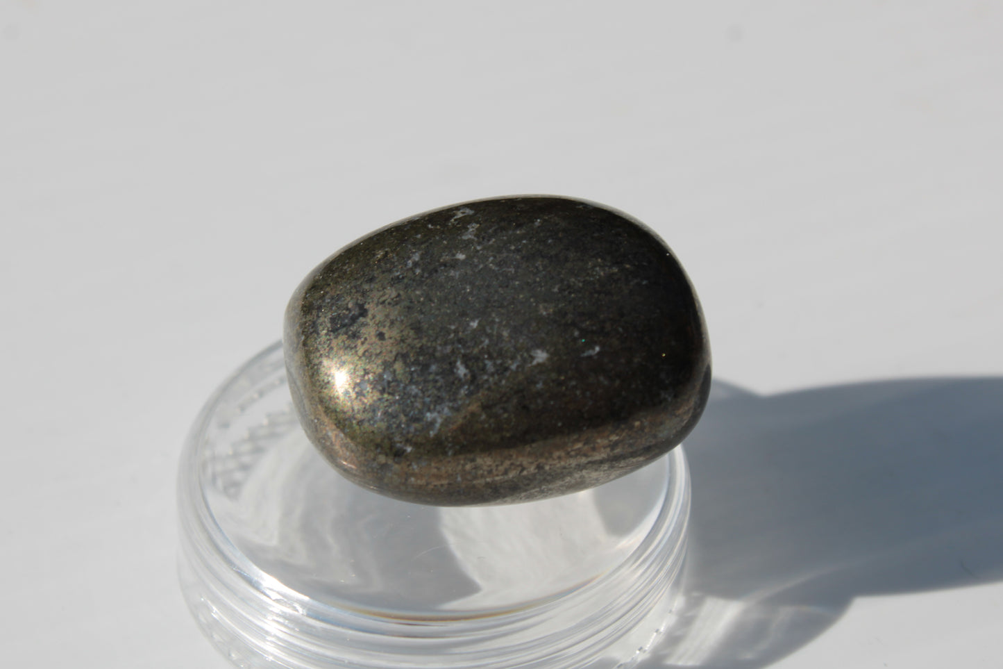 Golden Pyrite tumbled stone 21-30g Rocks and Things