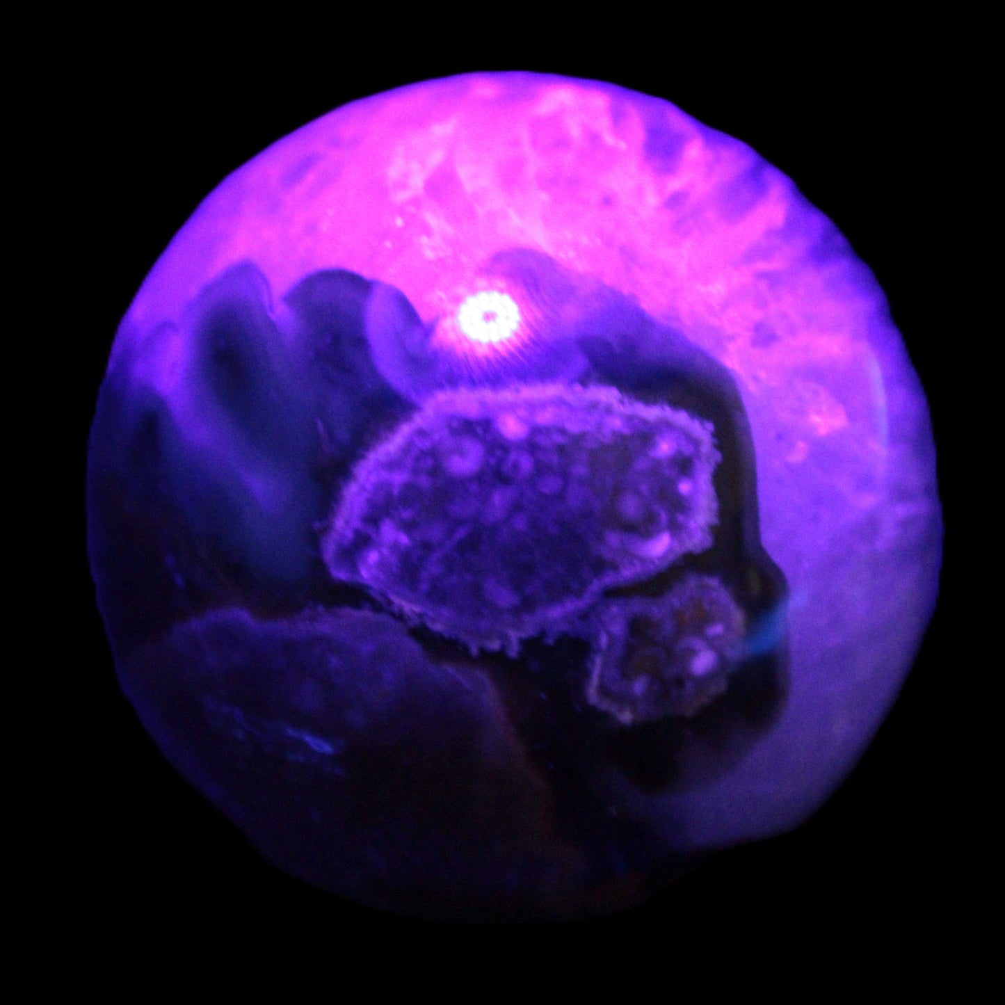 Volcano Agate sphere 63mm 362g Rocks and Things