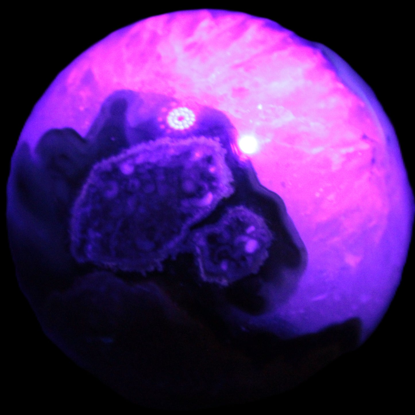 Volcano Agate sphere 63mm 362g Rocks and Things