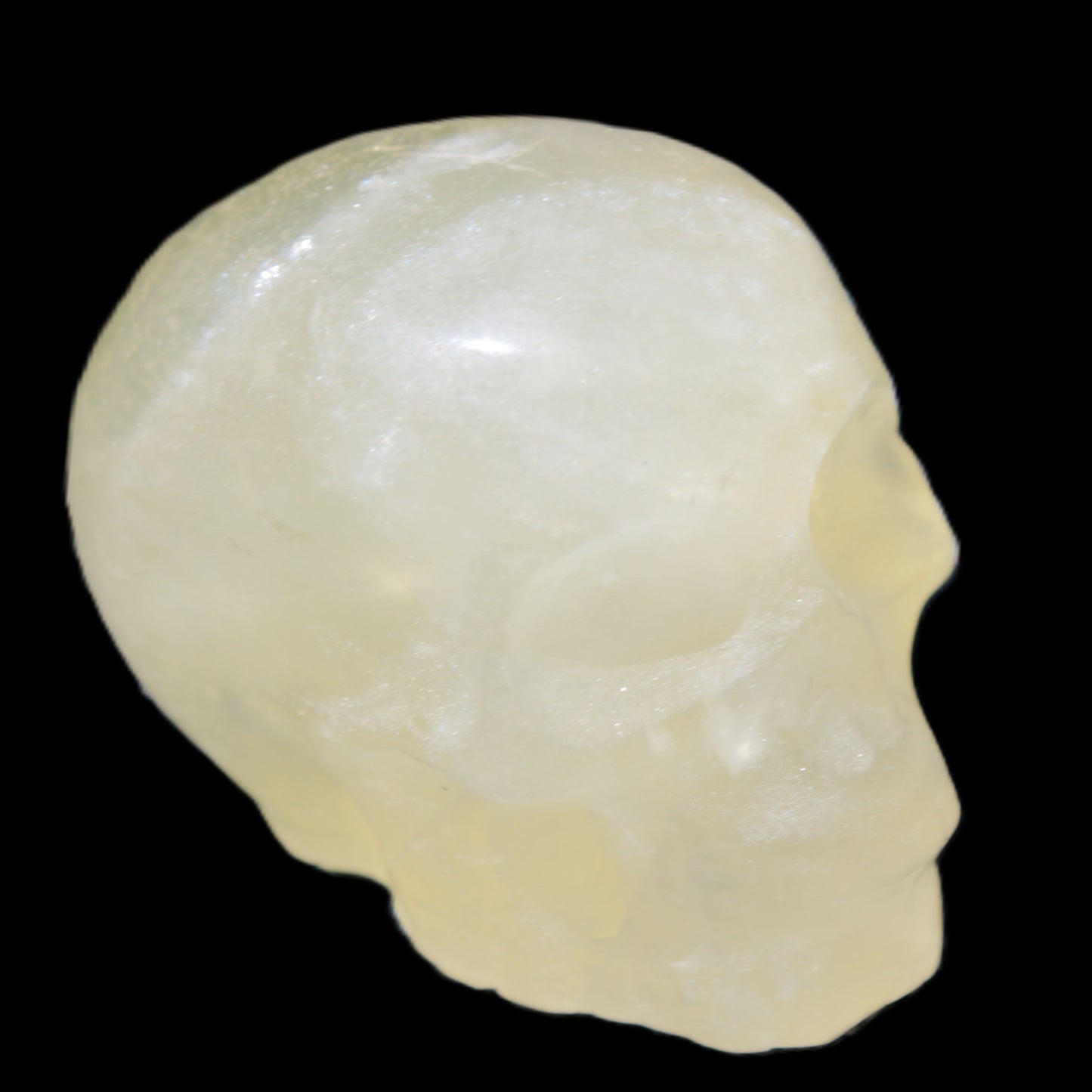Citrine skull 32*48*35mm 73g Rocks and Things
