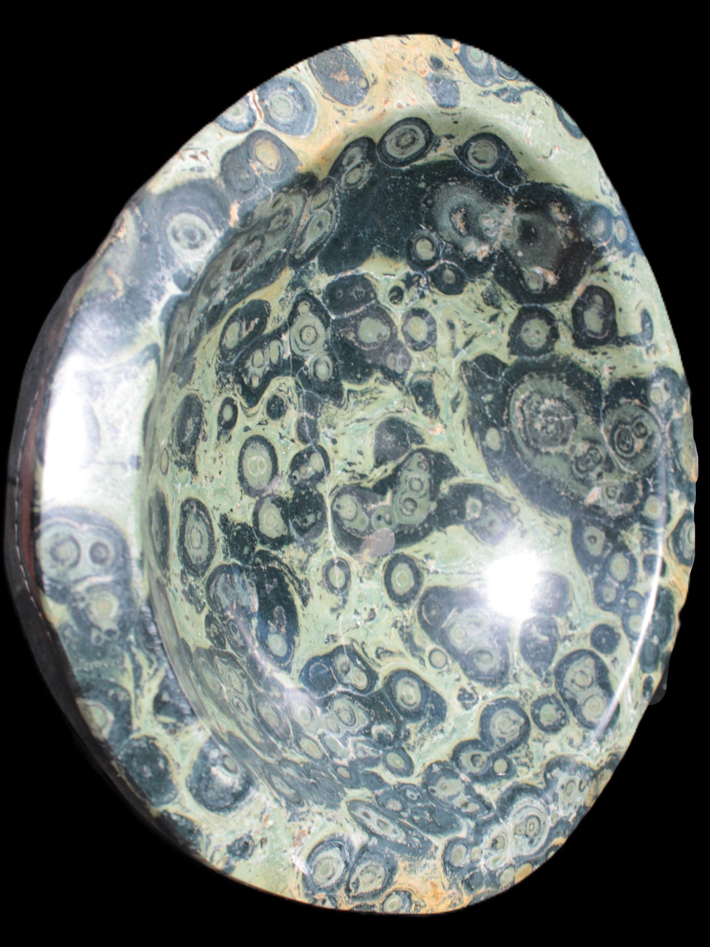 Kambaba Jasper bowl 187*56/66mm 2960g Rocks and Things Store