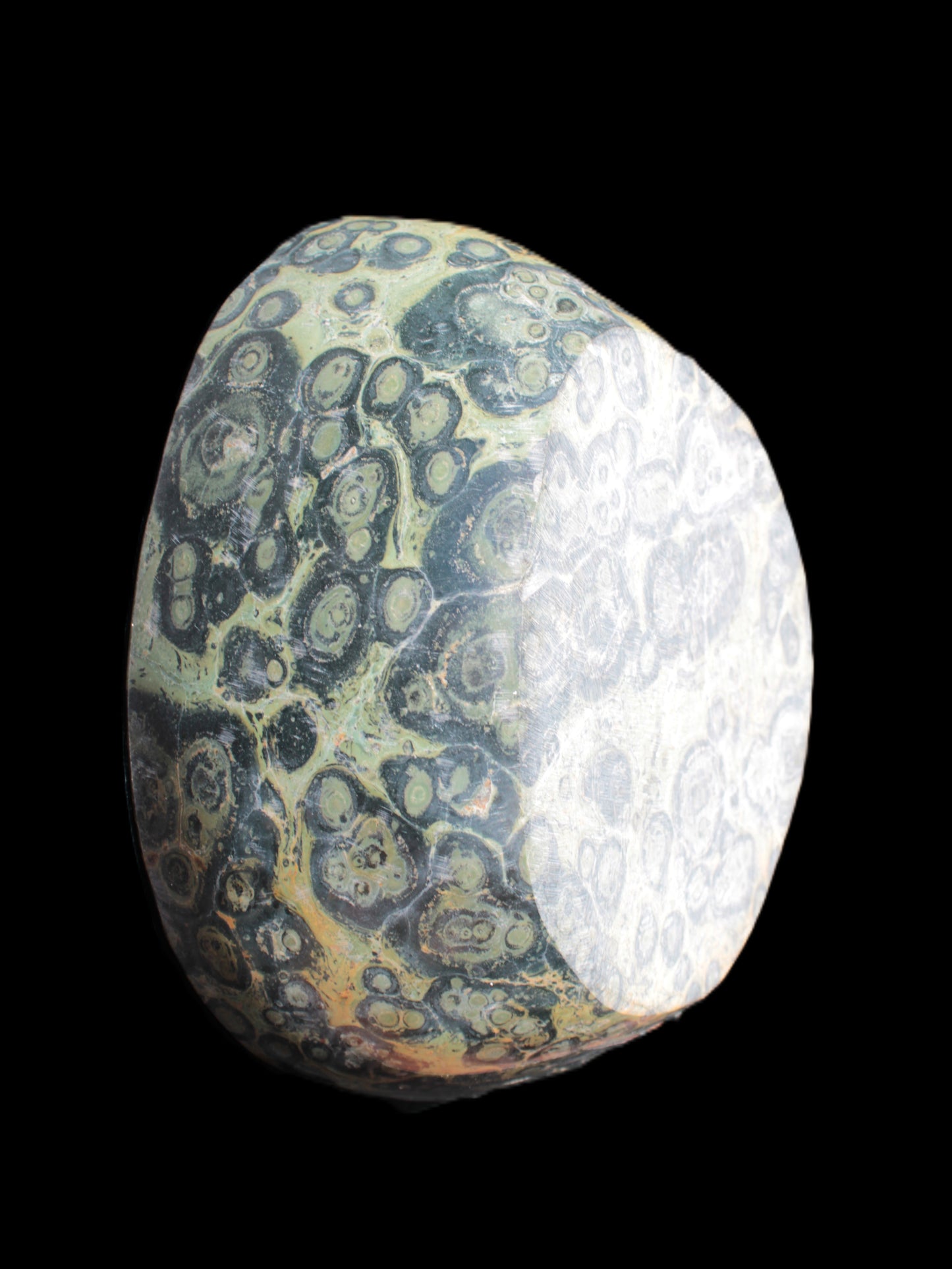 Kambaba Jasper bowl 187*56/66mm 2960g Rocks and Things Store
