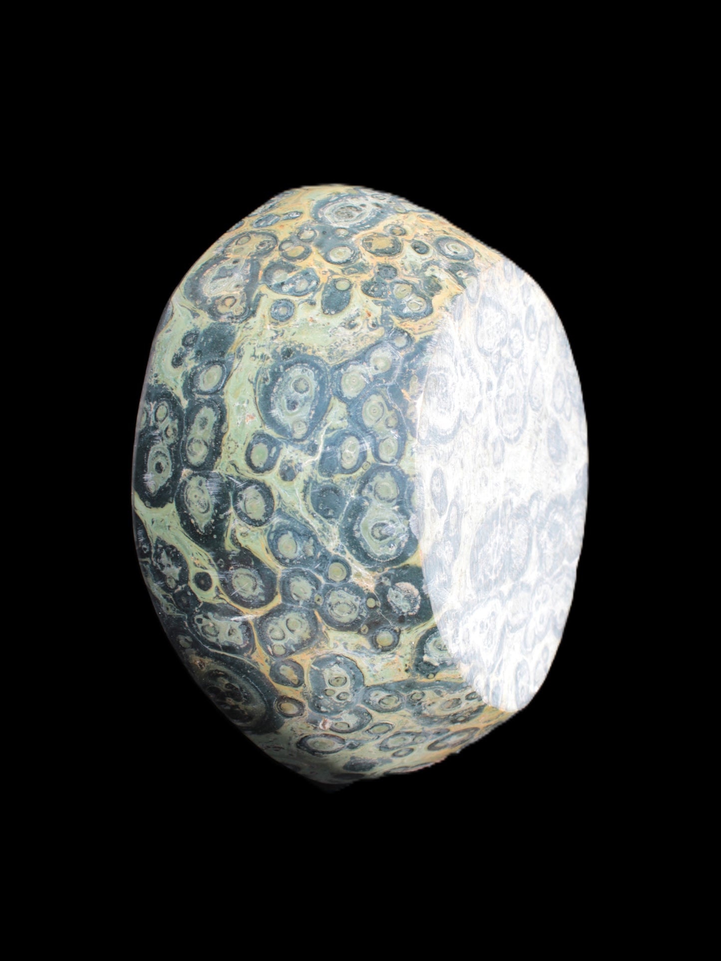 Kambaba Jasper bowl 187*56/66mm 2960g Rocks and Things Store