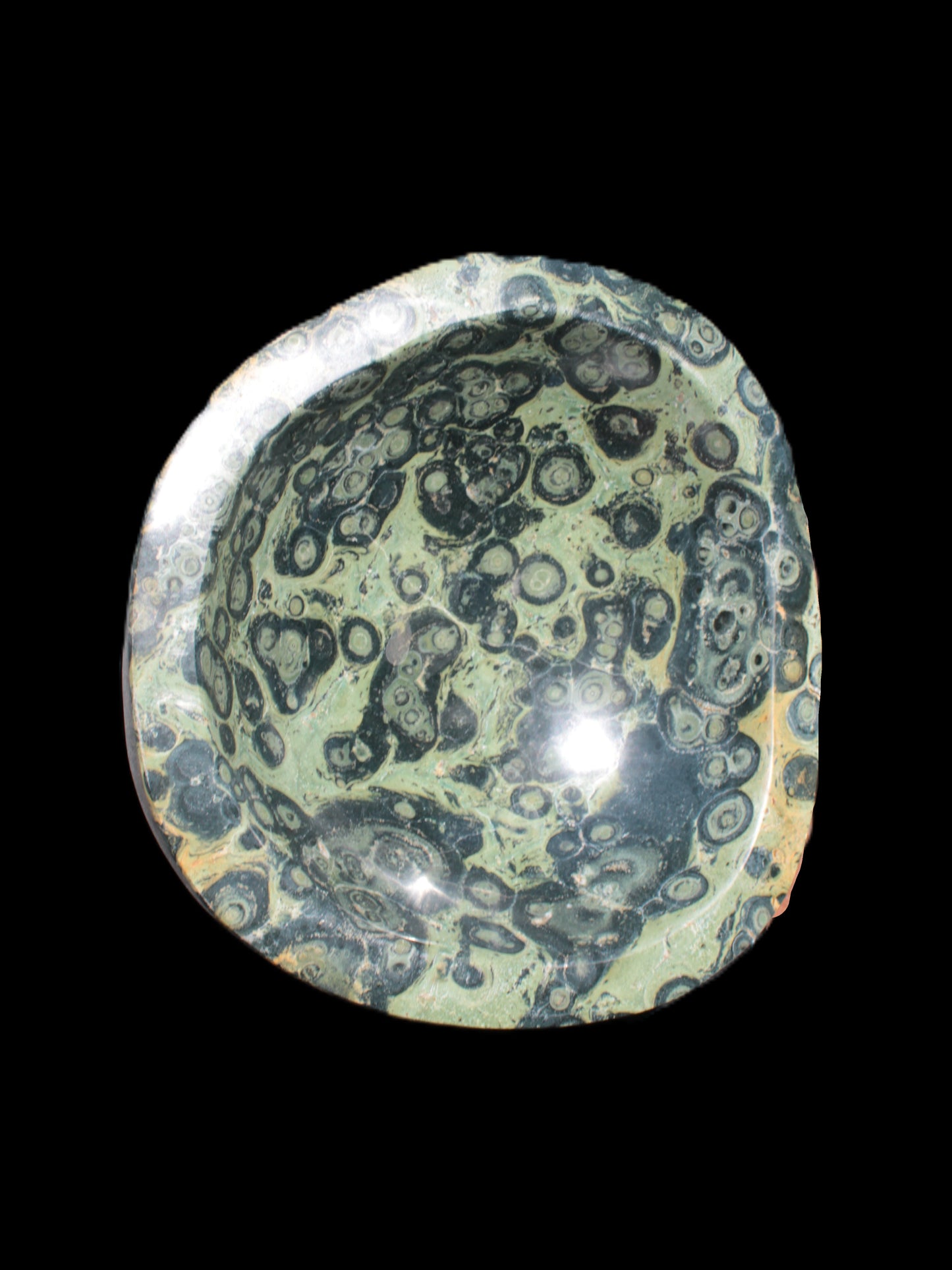 Kambaba Jasper bowl 187*56/66mm 2960g Rocks and Things Store