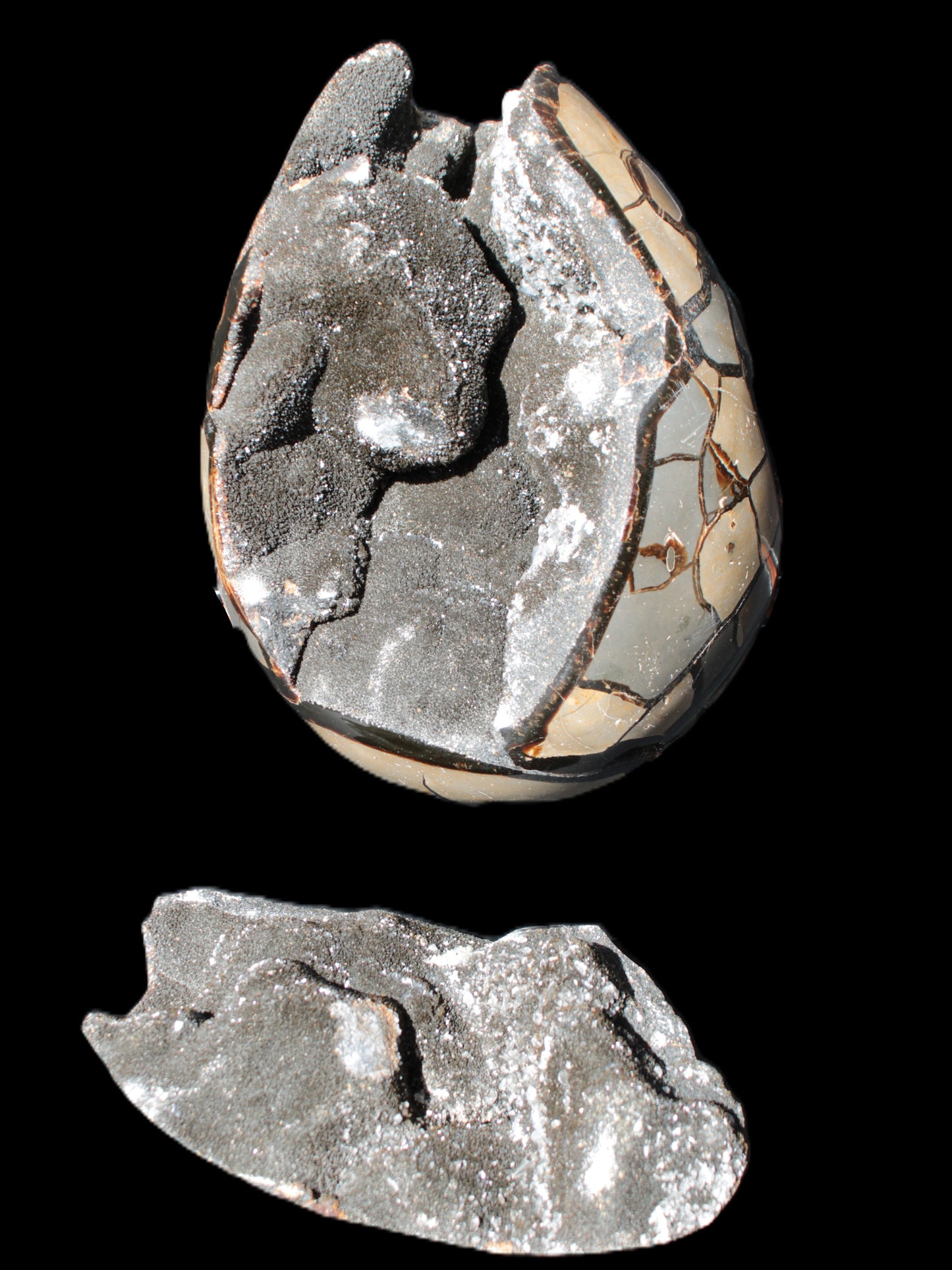 Stunning Septarian Dragon Stone cathedral geode 220*168*146mm 7980g Rocks and Things Store