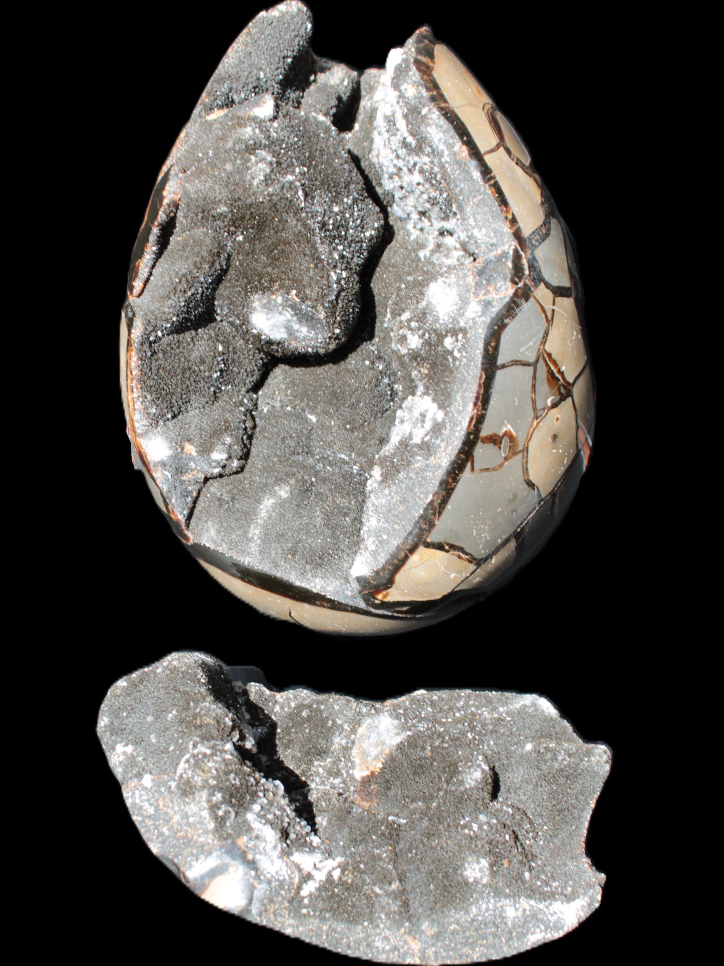 Stunning Septarian Dragon Stone cathedral geode 220*168*146mm 7980g Rocks and Things Store