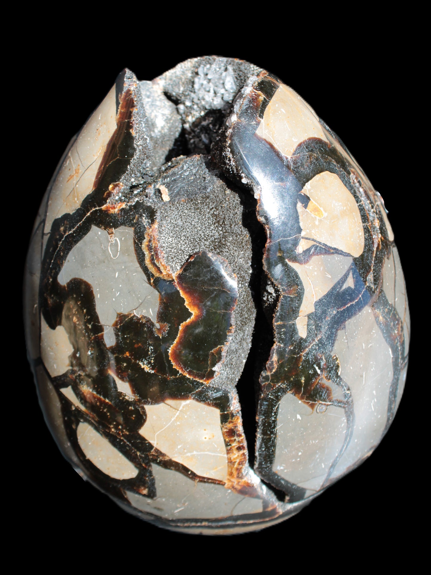 Stunning Septarian Dragon Stone cathedral geode 220*168*146mm 7980g Rocks and Things Store