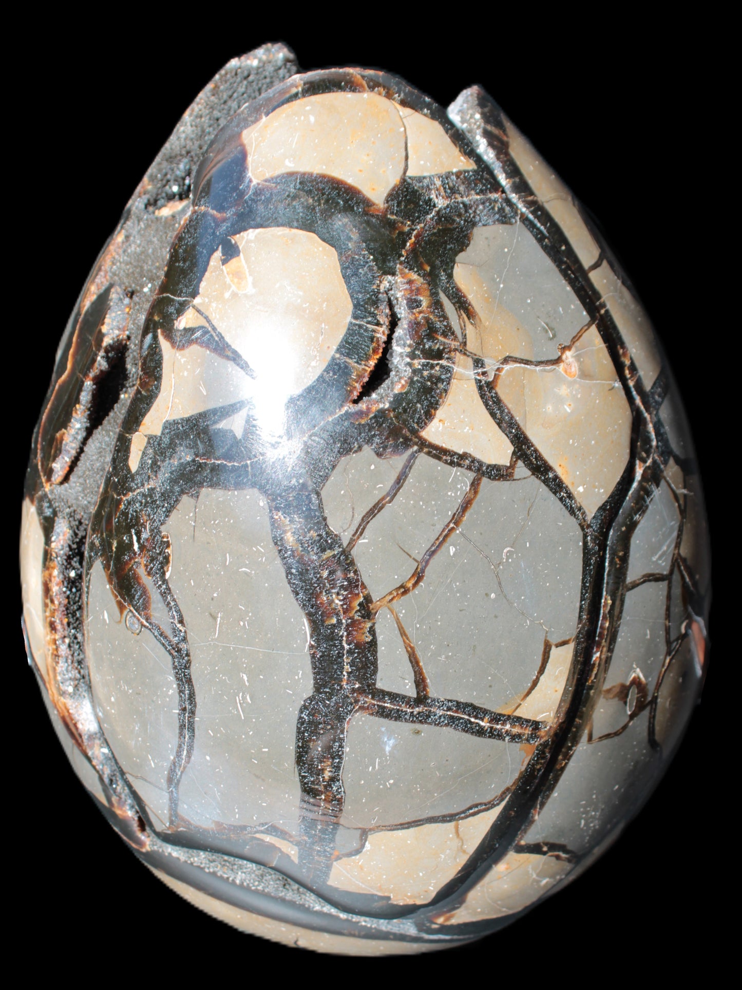 Stunning Septarian Dragon Stone cathedral geode 220*168*146mm 7980g Rocks and Things Store