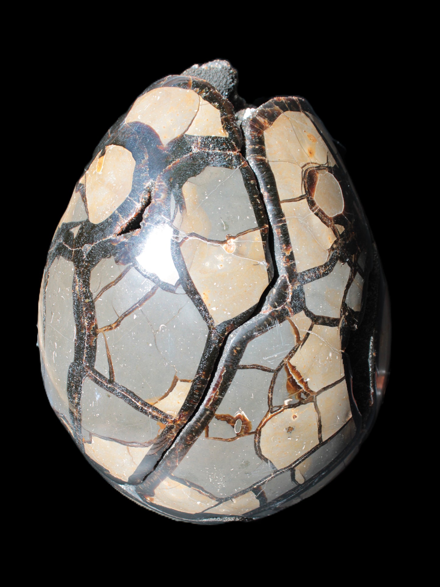Stunning Septarian Dragon Stone cathedral geode 220*168*146mm 7980g Rocks and Things Store