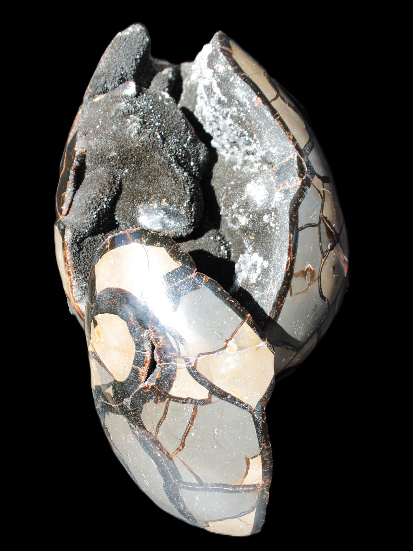 Stunning Septarian Dragon Stone cathedral geode 220*168*146mm 7980g Rocks and Things Store