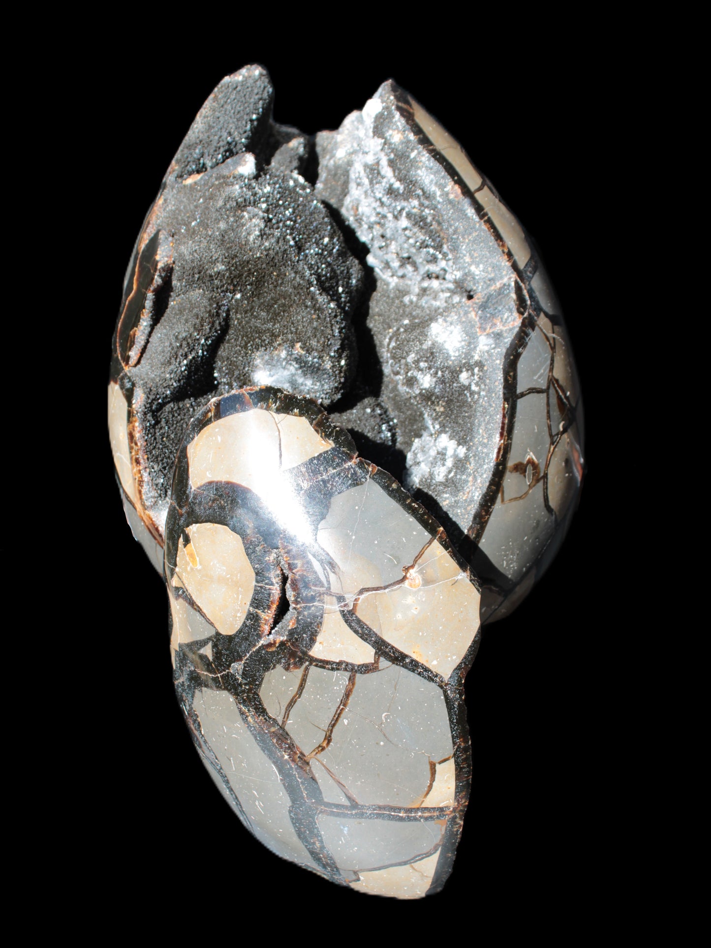 Stunning Septarian Dragon Stone cathedral geode 220*168*146mm 7980g Rocks and Things Store