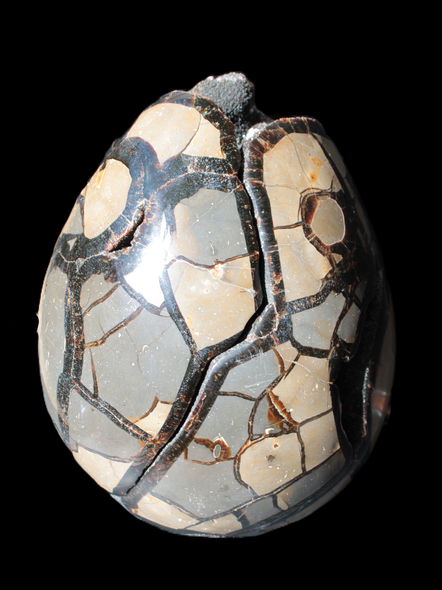 Stunning Septarian Dragon Stone cathedral geode 220*168*146mm 7980g Rocks and Things Store