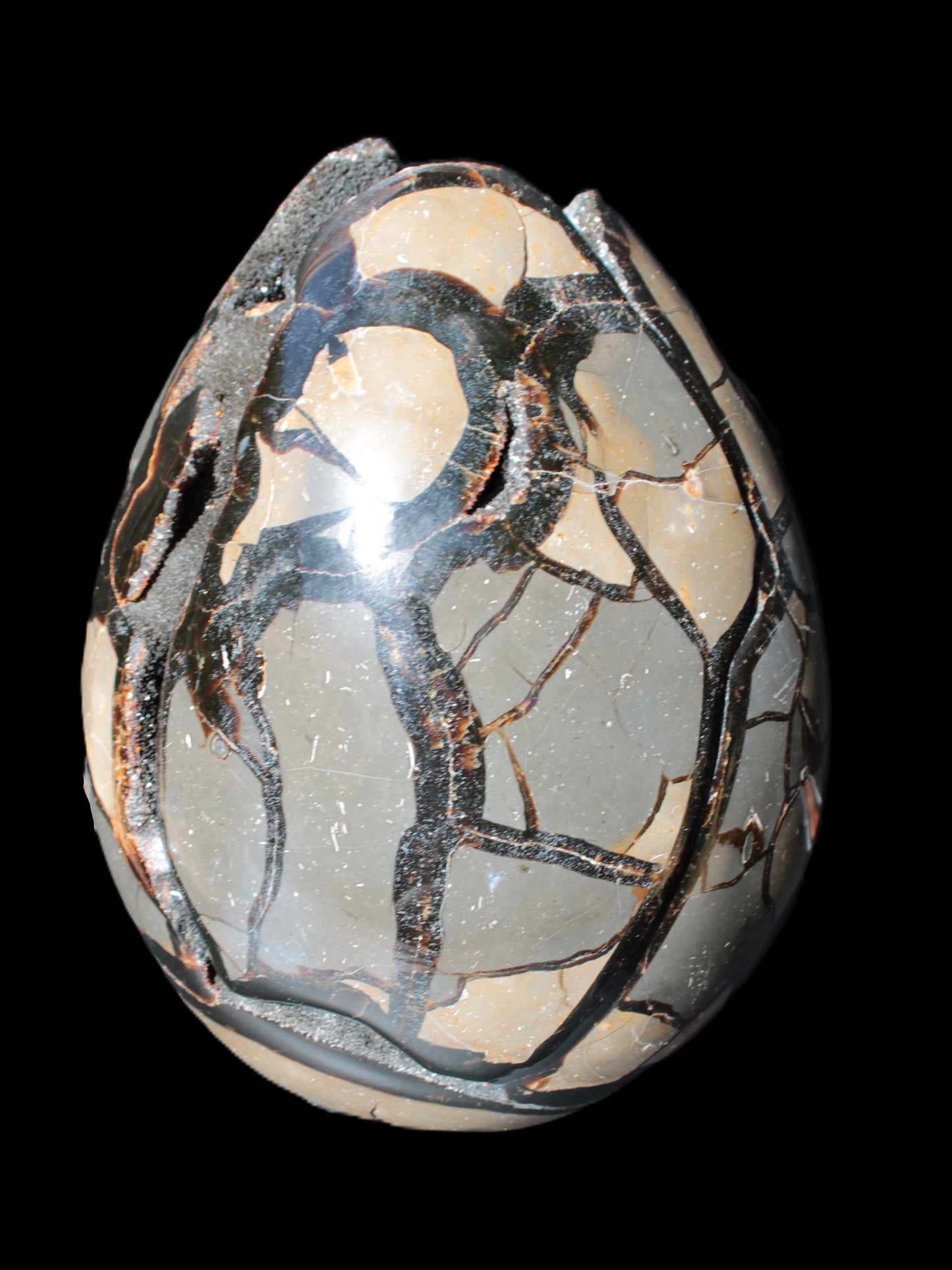Stunning Septarian Dragon Stone cathedral geode 220*168*146mm 7980g Rocks and Things Store