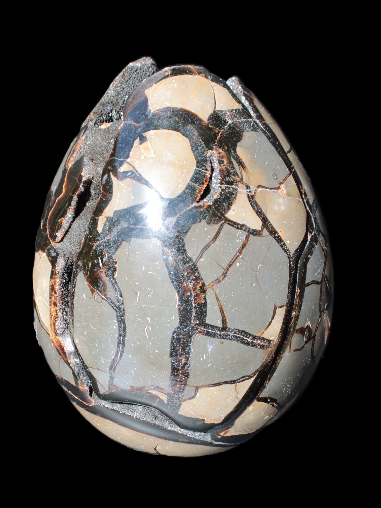 Stunning Septarian Dragon Stone cathedral geode 220*168*146mm 7980g Rocks and Things Store