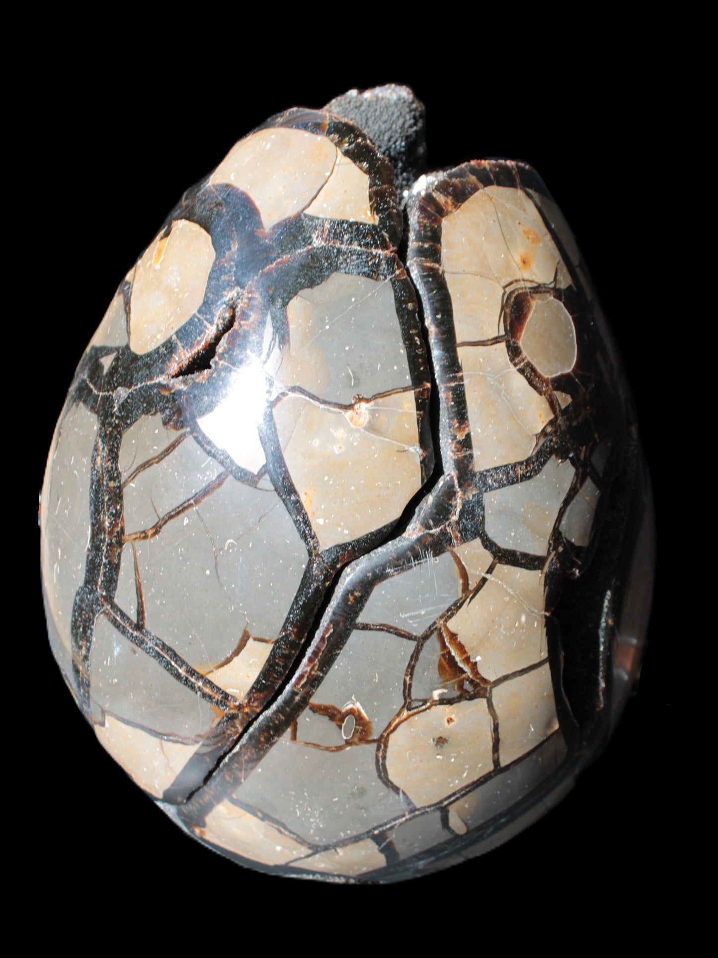 Stunning Septarian Dragon Stone cathedral geode 220*168*146mm 7980g Rocks and Things Store